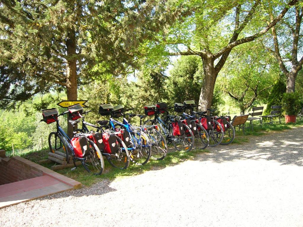 Fattoria Pieve A Salti Villa Buonconvento Eksteriør billede