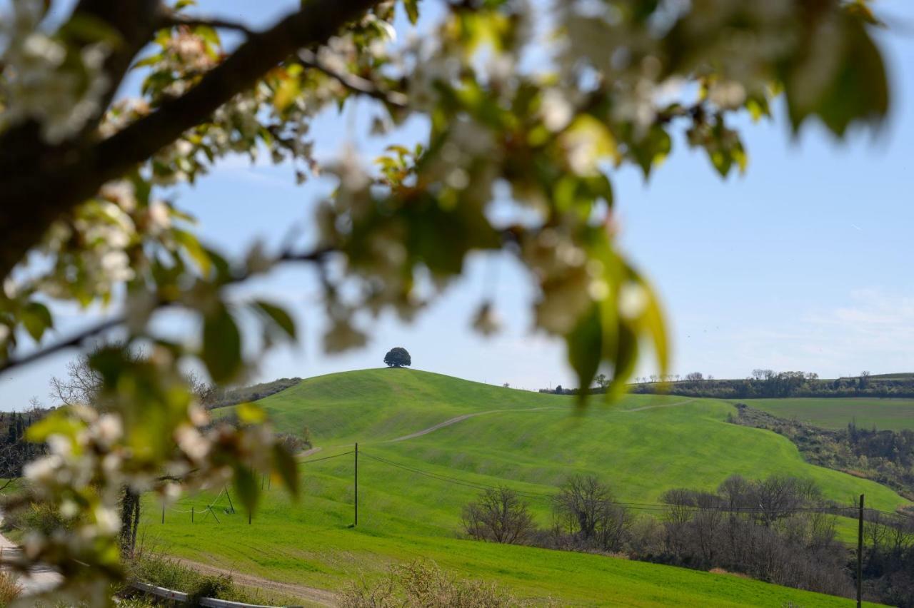 Fattoria Pieve A Salti Villa Buonconvento Eksteriør billede